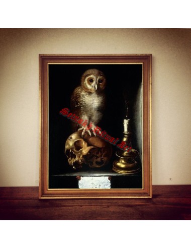 Memento mori art, owl and...